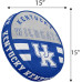 Pegasus Sports NCAA Kentucky Wildcats Circle Plushlete Pillow 15"