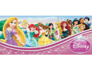 Disney Princess